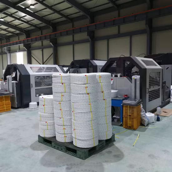 Hdtm-Serie Kunststoff-PP-PE-Nylon-Polypropylen-Seilschnur-Produktionsmaschine, Linie zum Verdrehen von Monofilamenten, Danline-Bast-3/4-Strang-Seilherstellungsmaschine